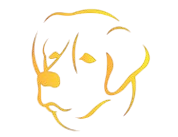 walrobtenurisa.xyz favicon